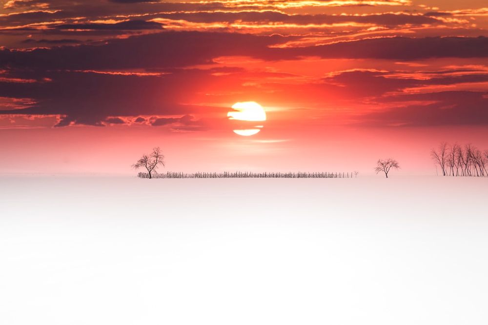 Photograph by Turcu Ovidiu Gabriel