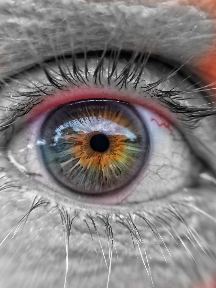 Photograph by Jason Walters