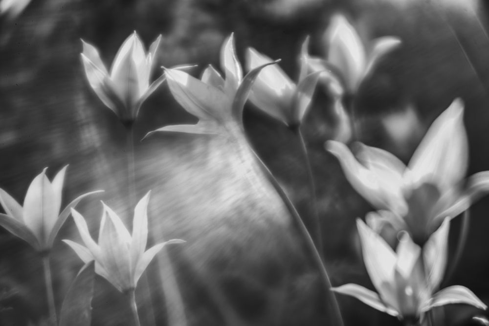 Фотография автора Игорь Баранов