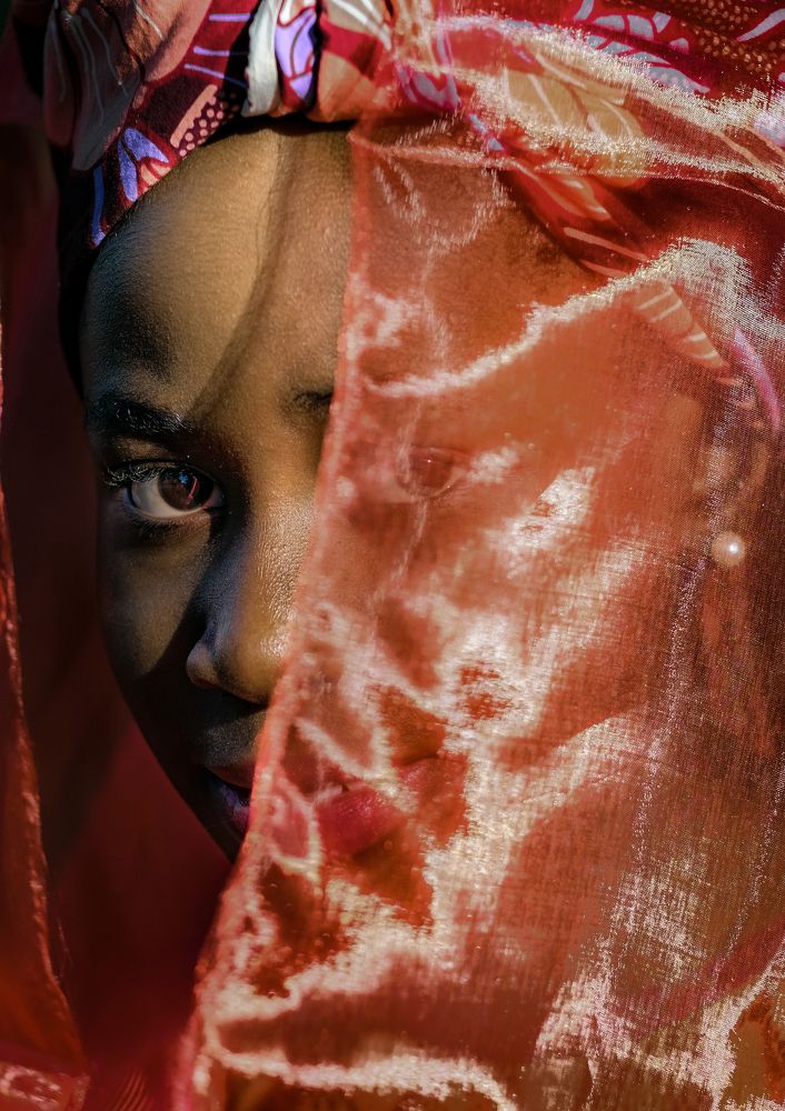 Фотография автора Mojtaba Chenari