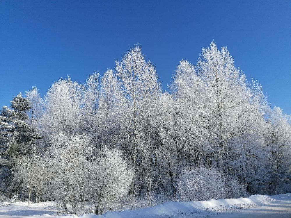 Photograph by Екатерина Супраненок