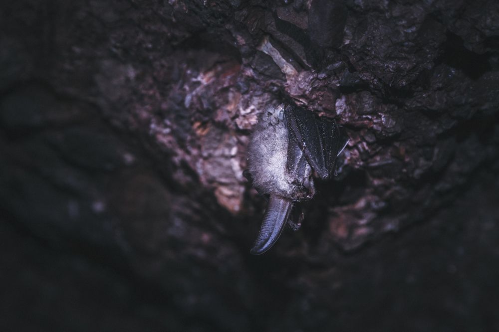 Photograph by Татьяна Каскевич