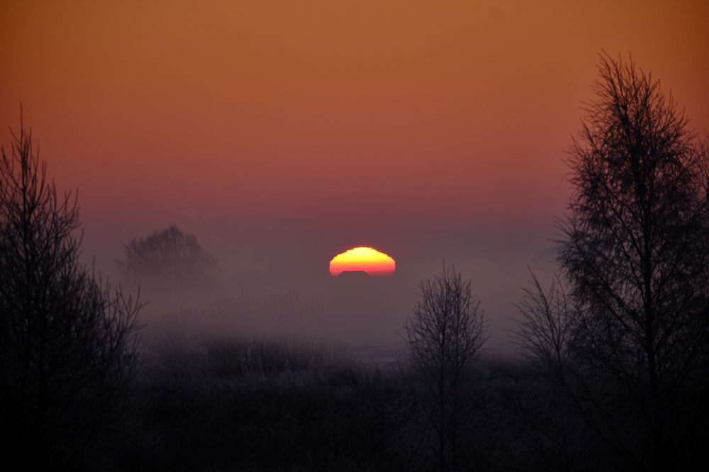 Photograph by Василий Арлашов
