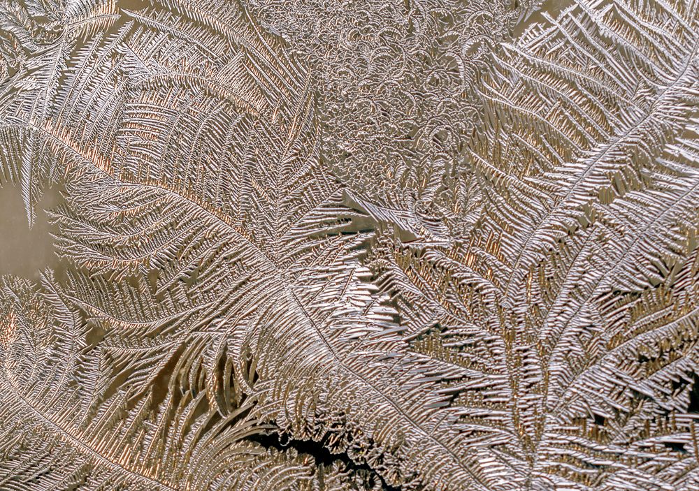 Картина художника Мороз