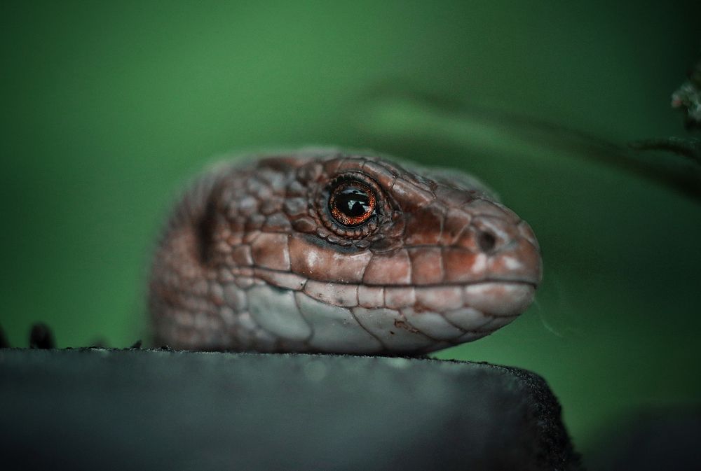 Photograph by Artem Gatin