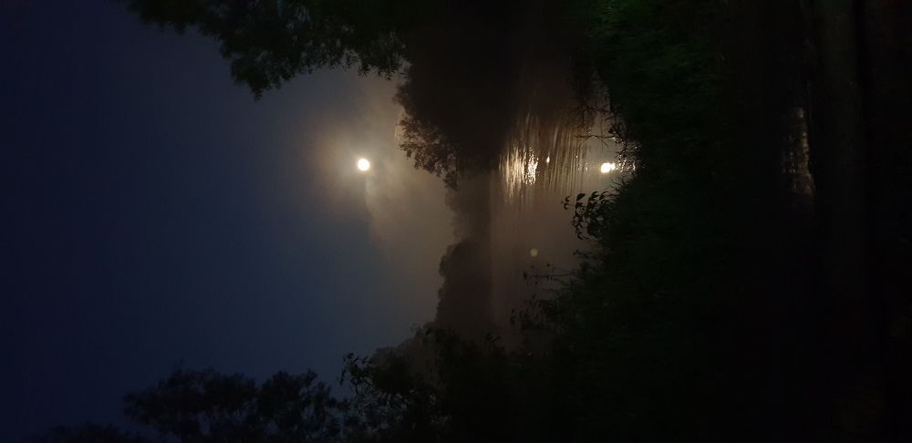 Photograph by Василий Арлашов