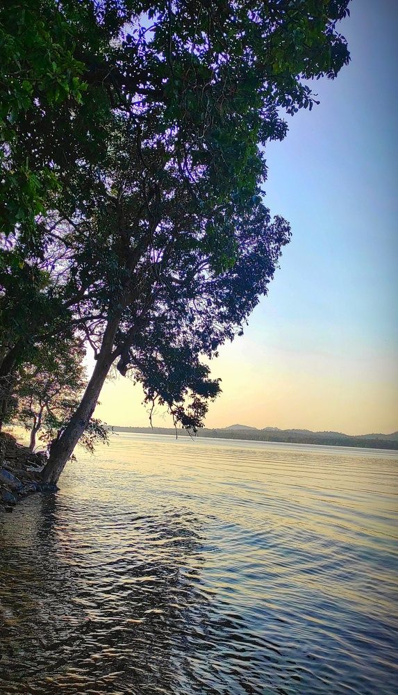 Фотография автора Parag Purkar