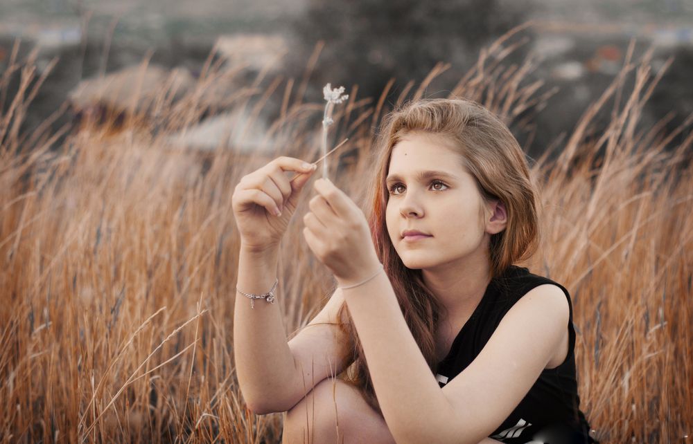 Колоски Ставрополья