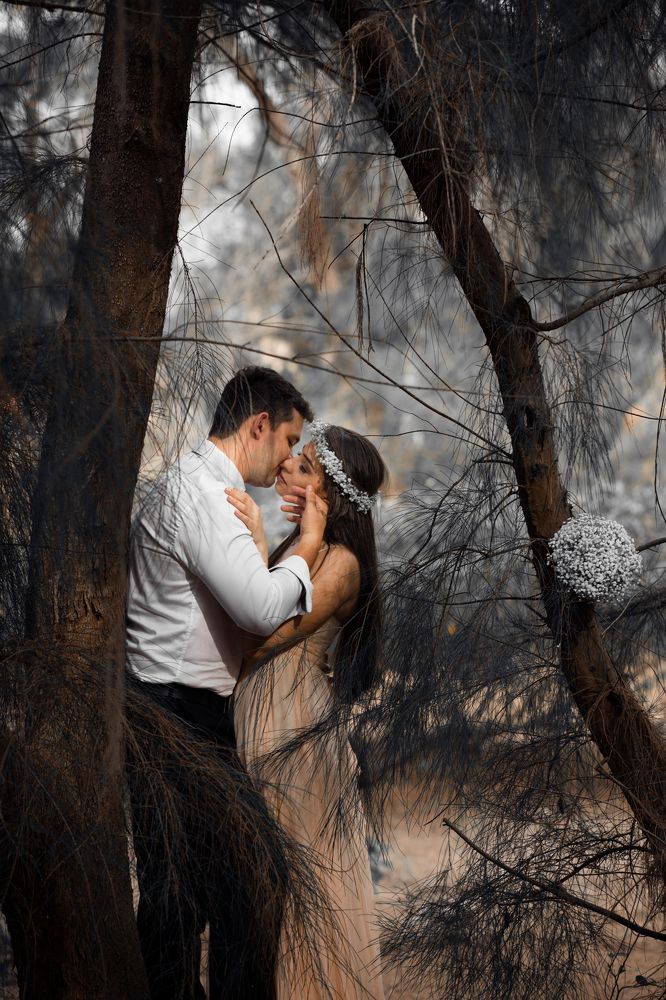 Фотография автора Meg Leite