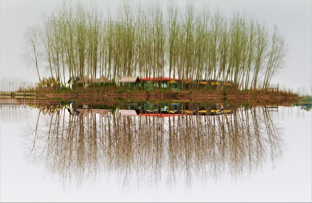 Photograph by Esmaeil Razaghi