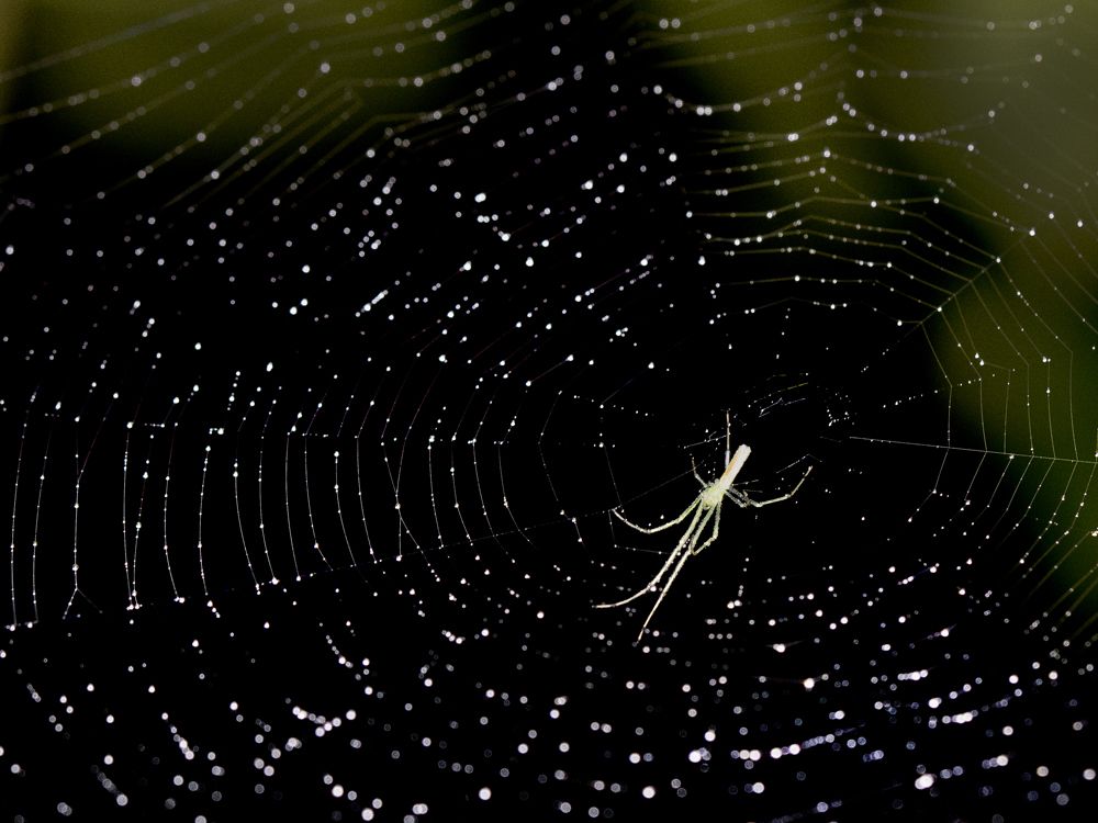 Photograph by Anirban Dutta