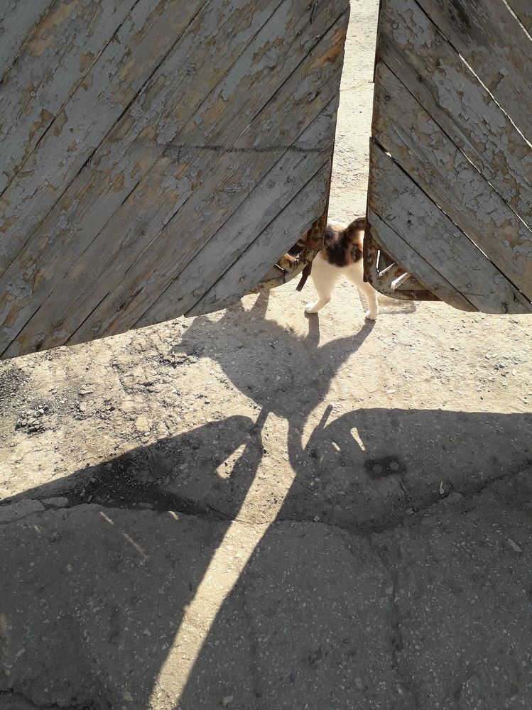 Photograph by Elena Strelkova