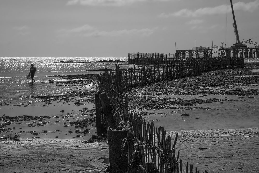Caçando Caranguejos