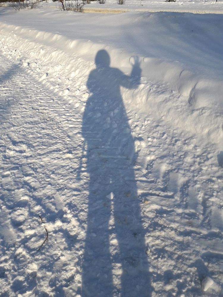 Photograph by Людмила Скочилова