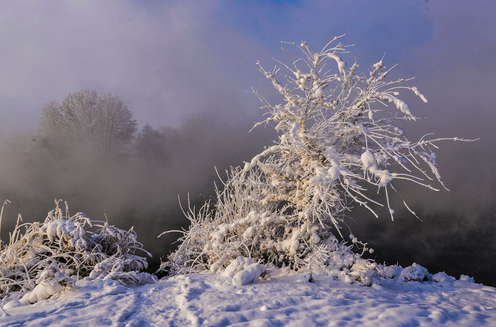 Photograph by Олег Урасов