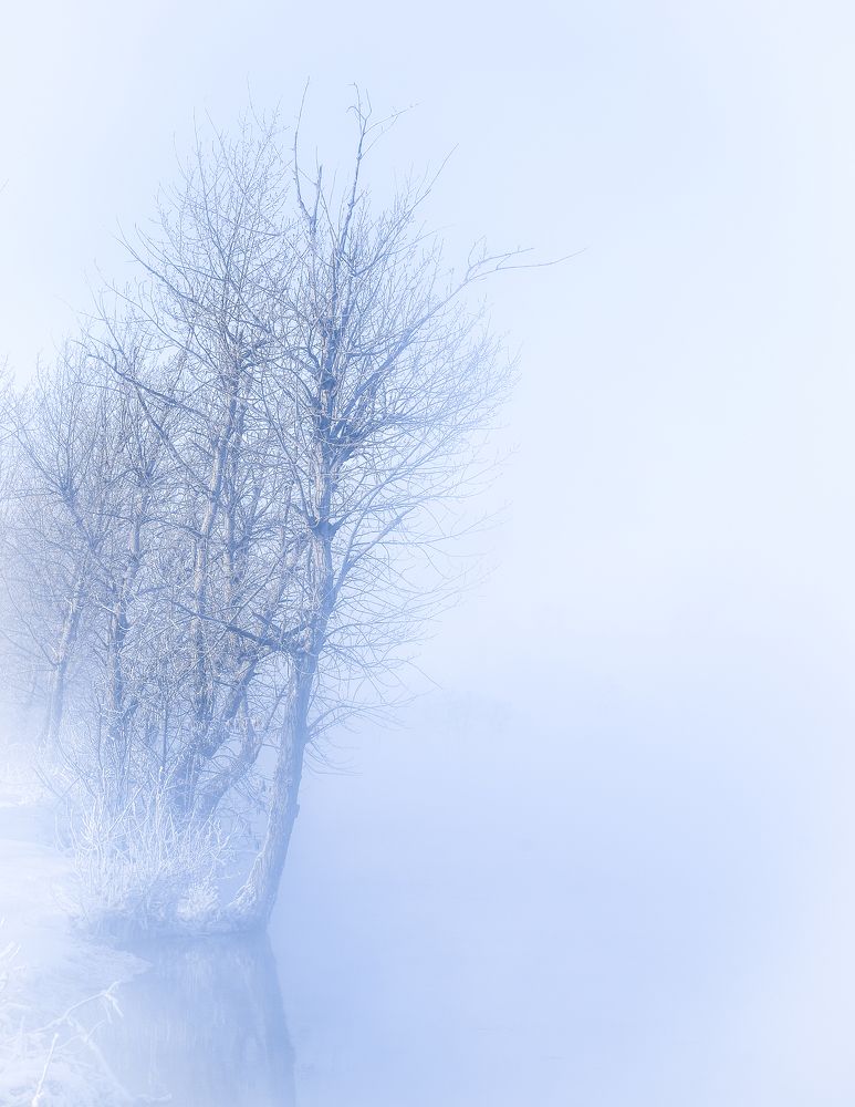 Photograph by Олег Урасов