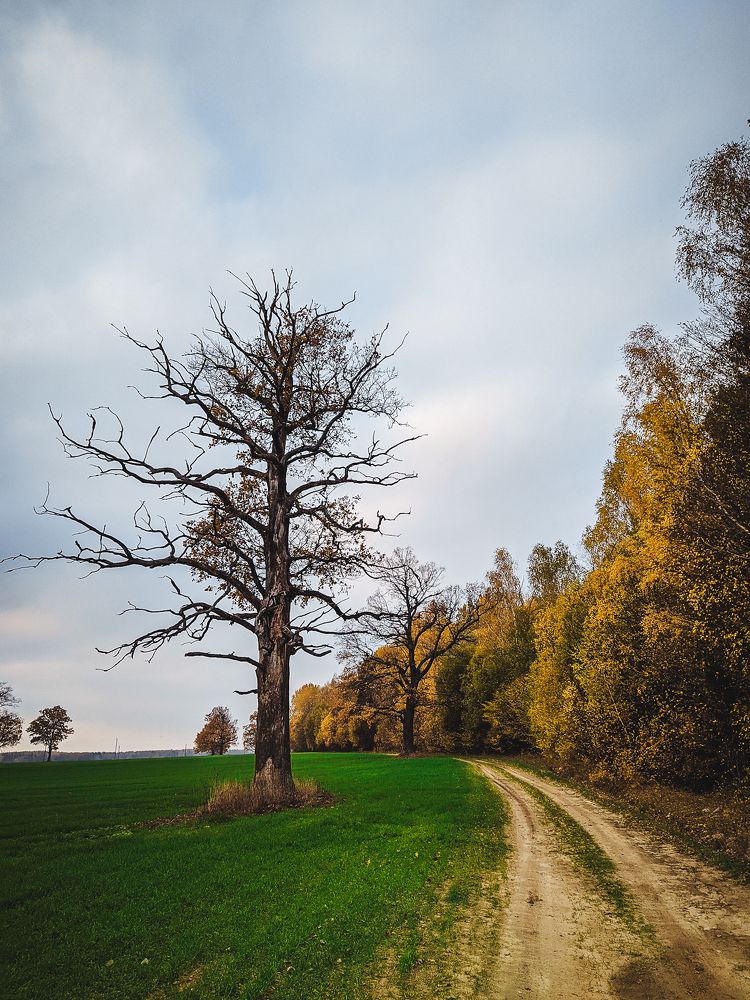 Photograph by Александр Тарасевич