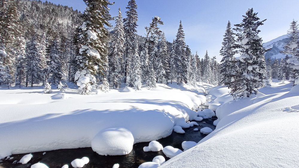 Photograph by Алексей Колосов