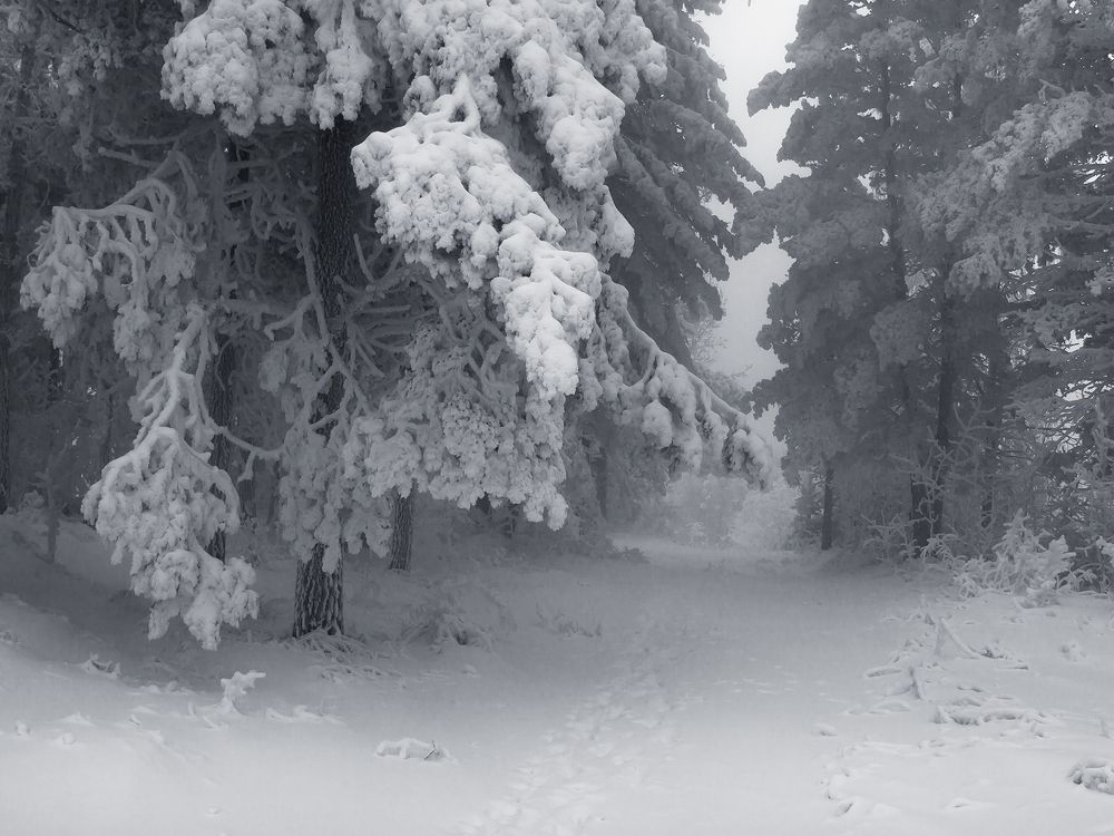 Photograph by Олег Тетерин