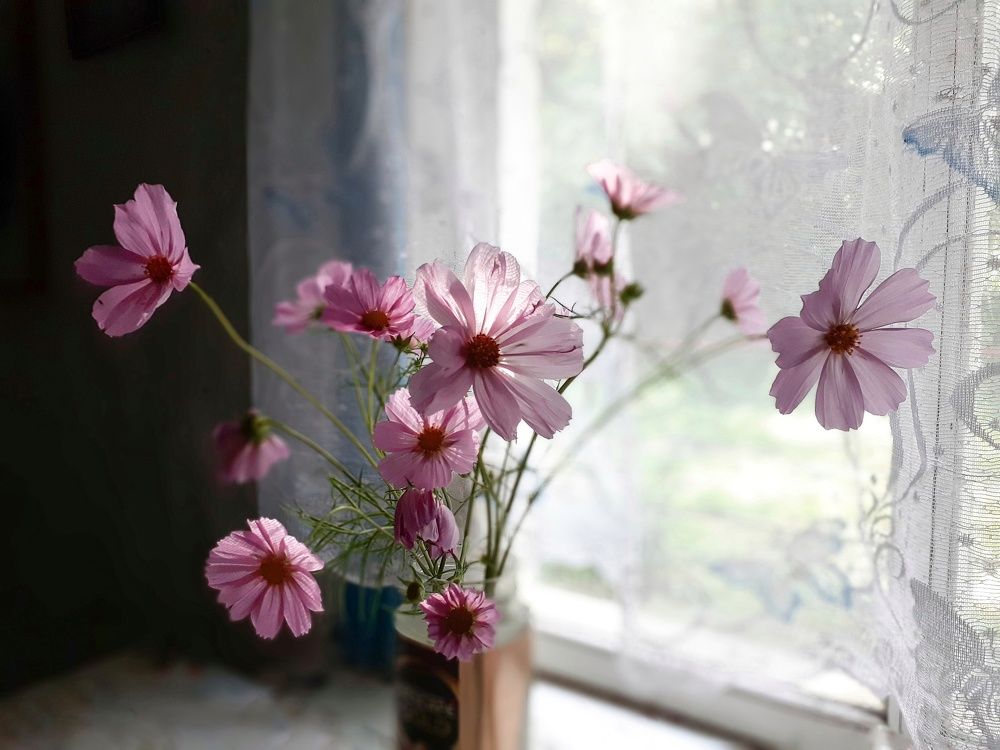 Photograph by Светлана Кондрашова