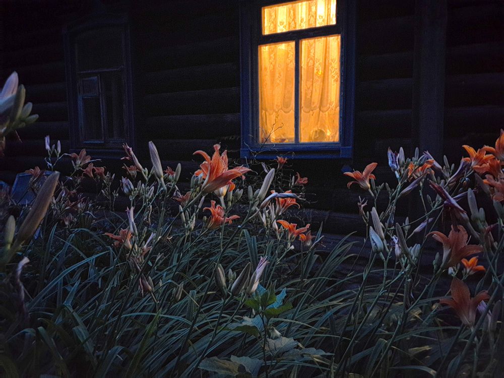 Photograph by Светлана Кондрашова