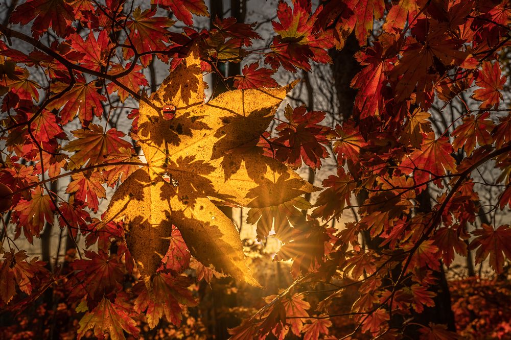 Фотография автора Ольга Мусиенко