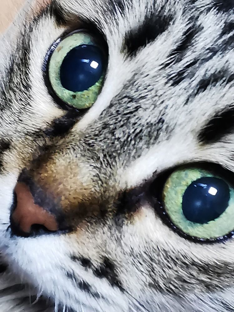 Photograph by Оксана Шахматова