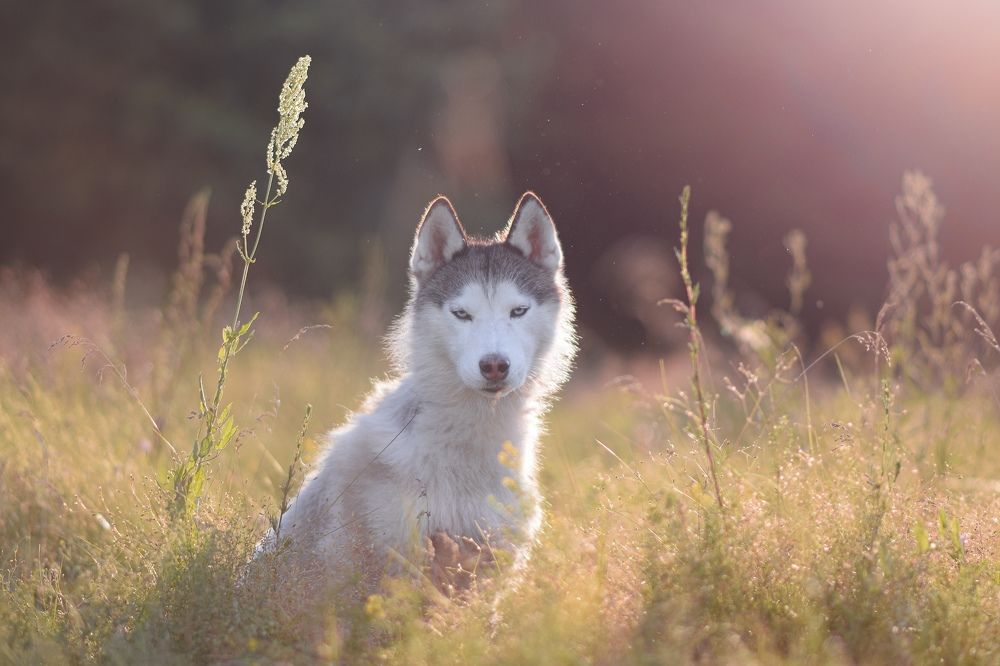 Фотография автора Мария Яропольская