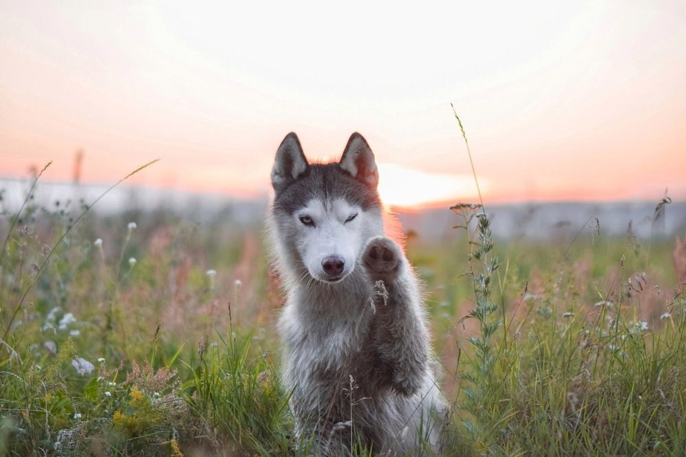 Фотография автора Мария Яропольская