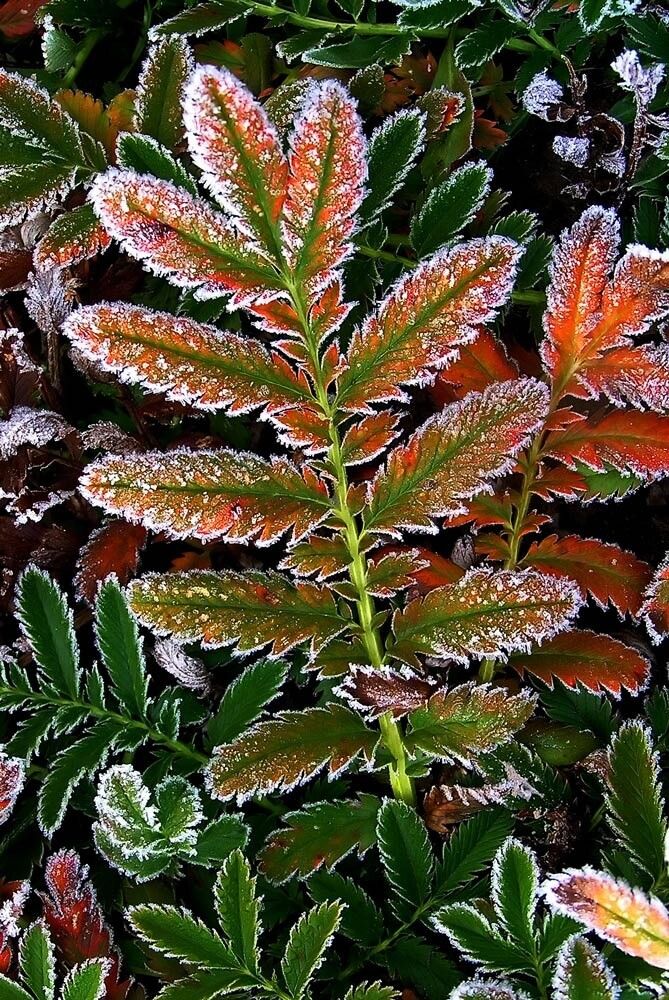 Photograph by Олег Ловцов