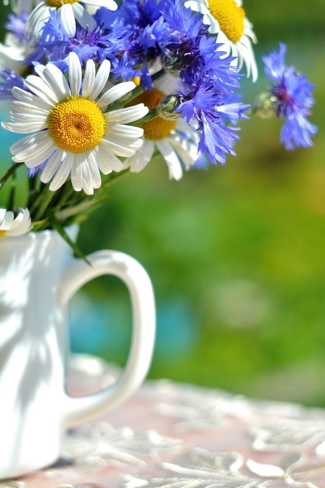 Photograph by Andrey