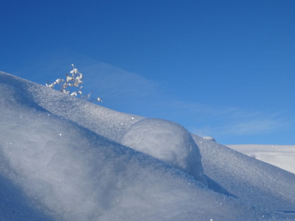 Photograph by Любовь Кочуганова