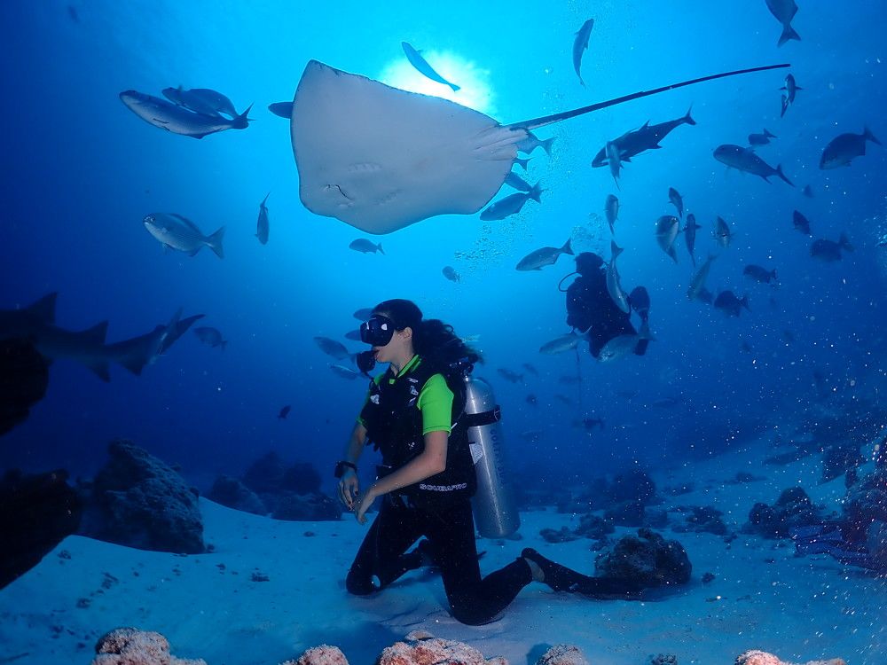 Photo #5683371
