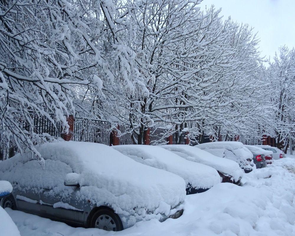 Photograph by Любовь Кочуганова