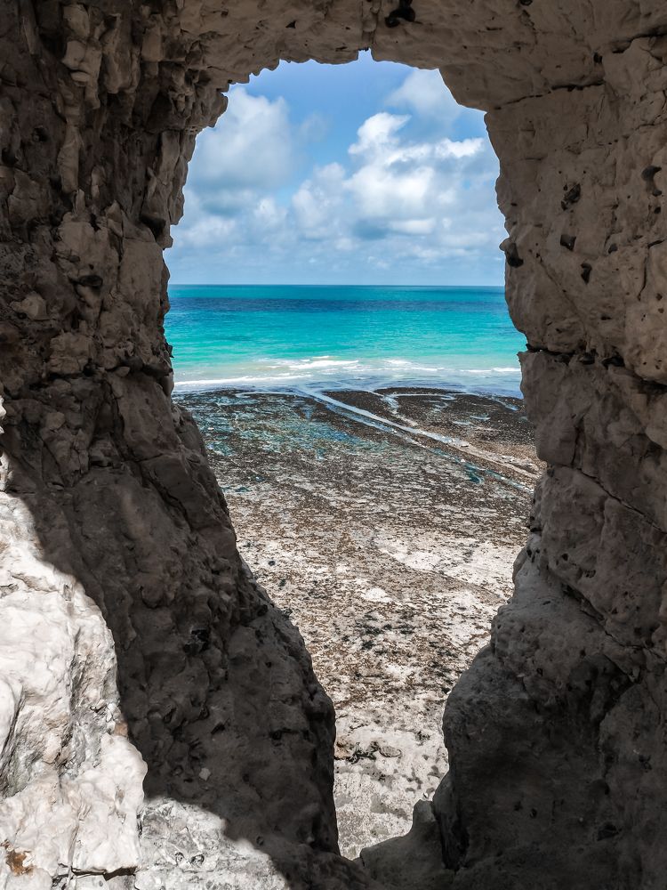 Photograph by Artem Nikiforov