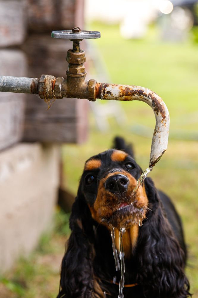 Фотография автора Гудкова Светлана