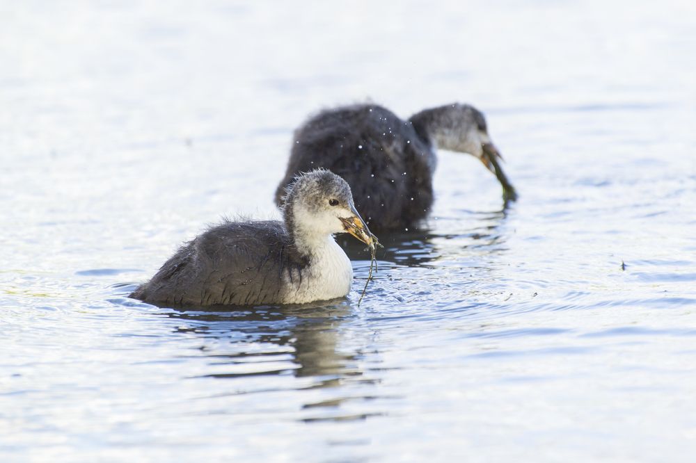 Photograph by Мария Долбич