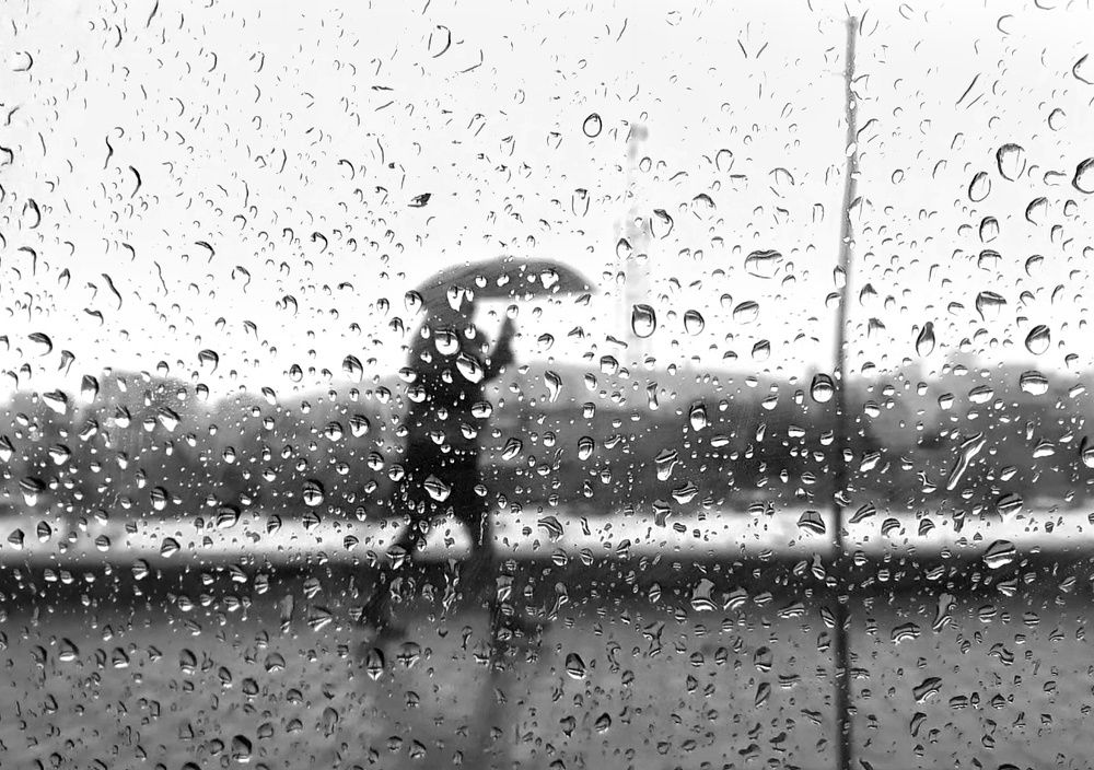 Photograph by Mohamadreza Jalilzadeh