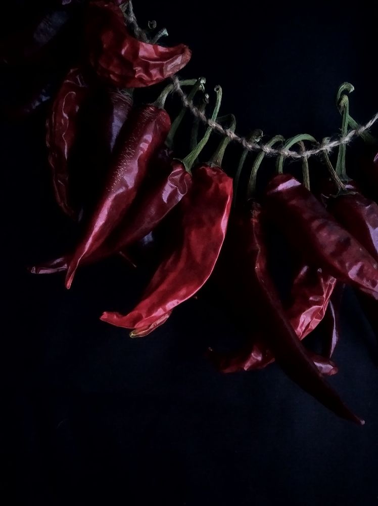 Photograph by Ксения Манухина