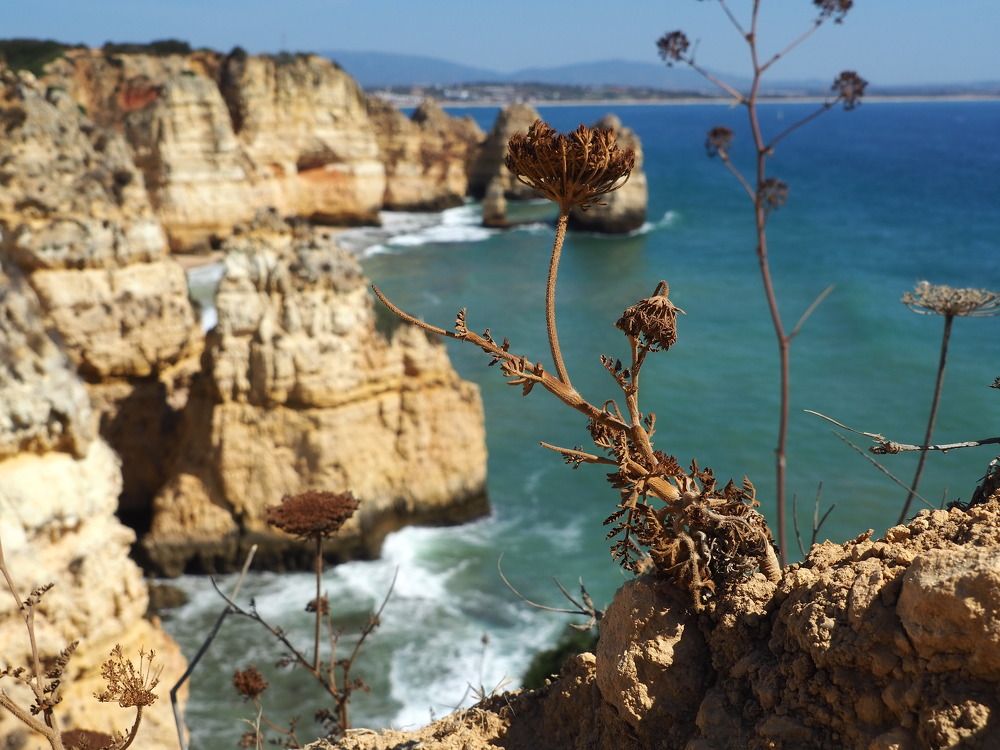 Photograph by Artem Nikiforov