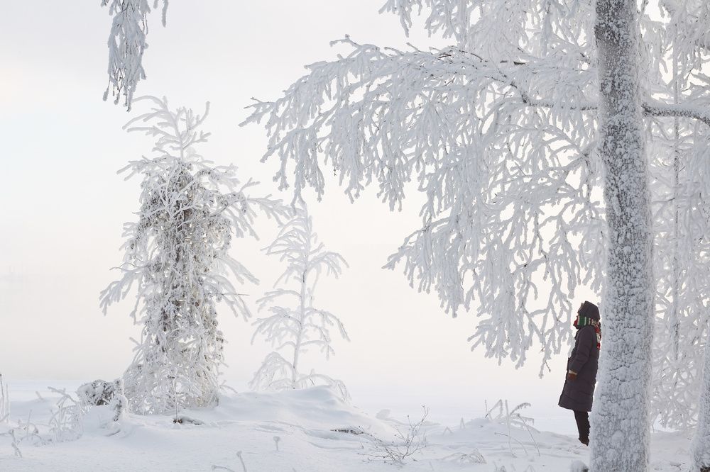 Photograph by Андрей Скрипченко