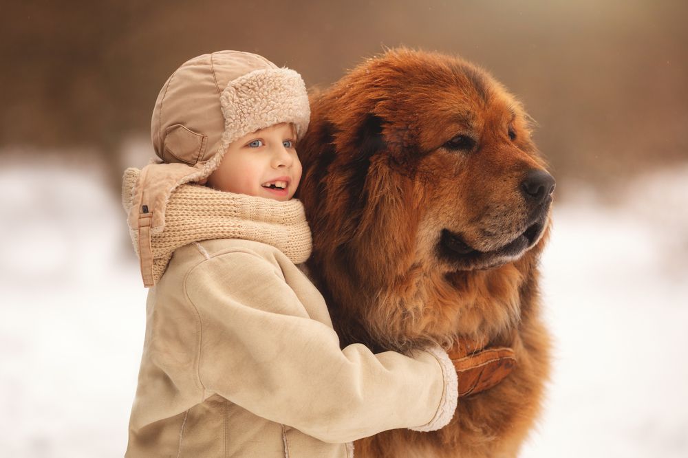 Photograph by Маргарита Черкасова