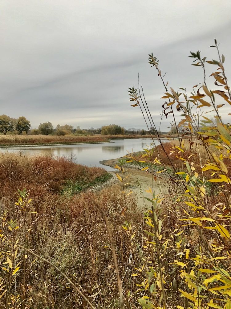 Photograph by Валентина Широбокова