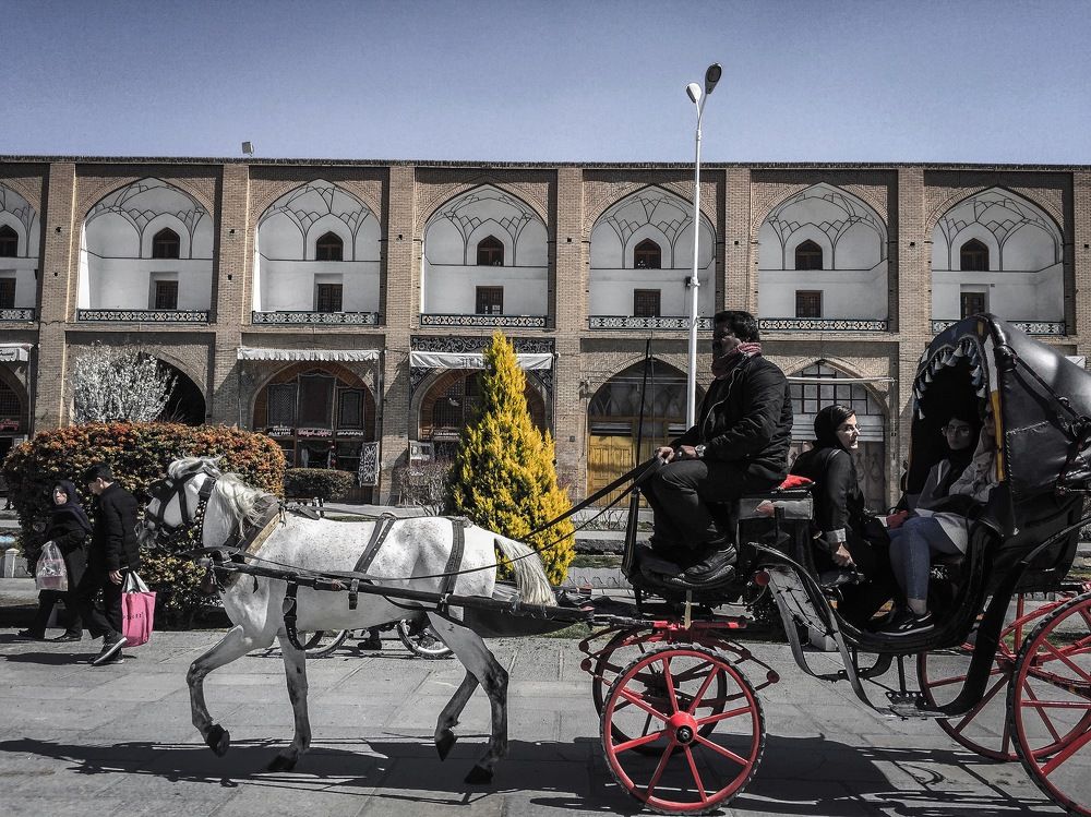 Photograph by najmeh hakimaei