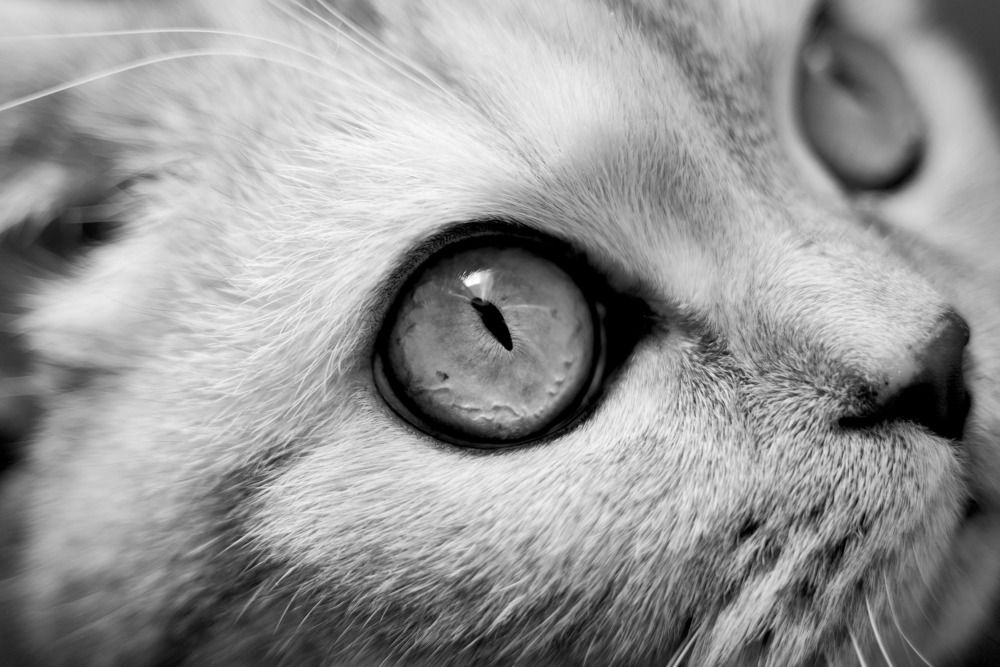 Photograph by Андрей Фоминых