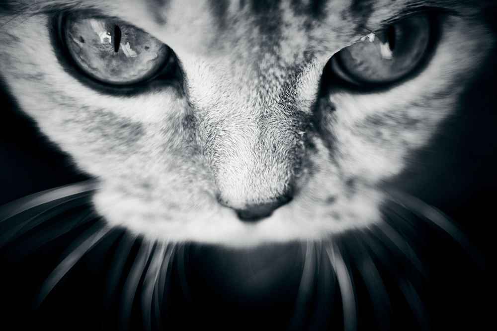 Photograph by Андрей Фоминых