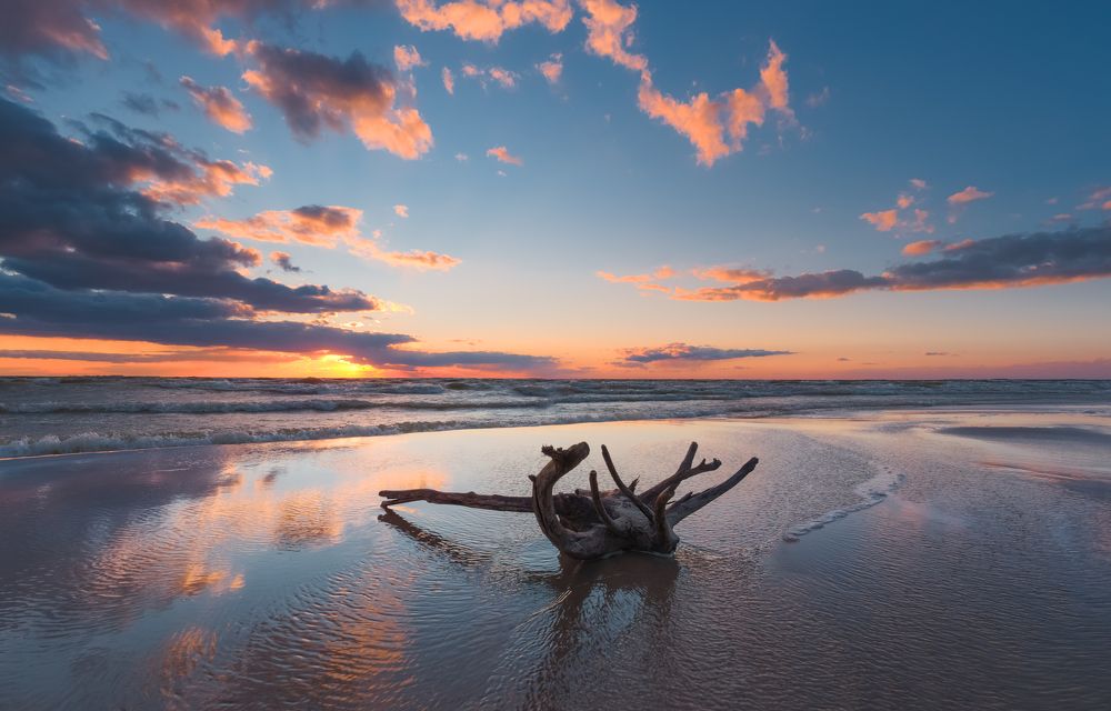 ветреный вечер ..