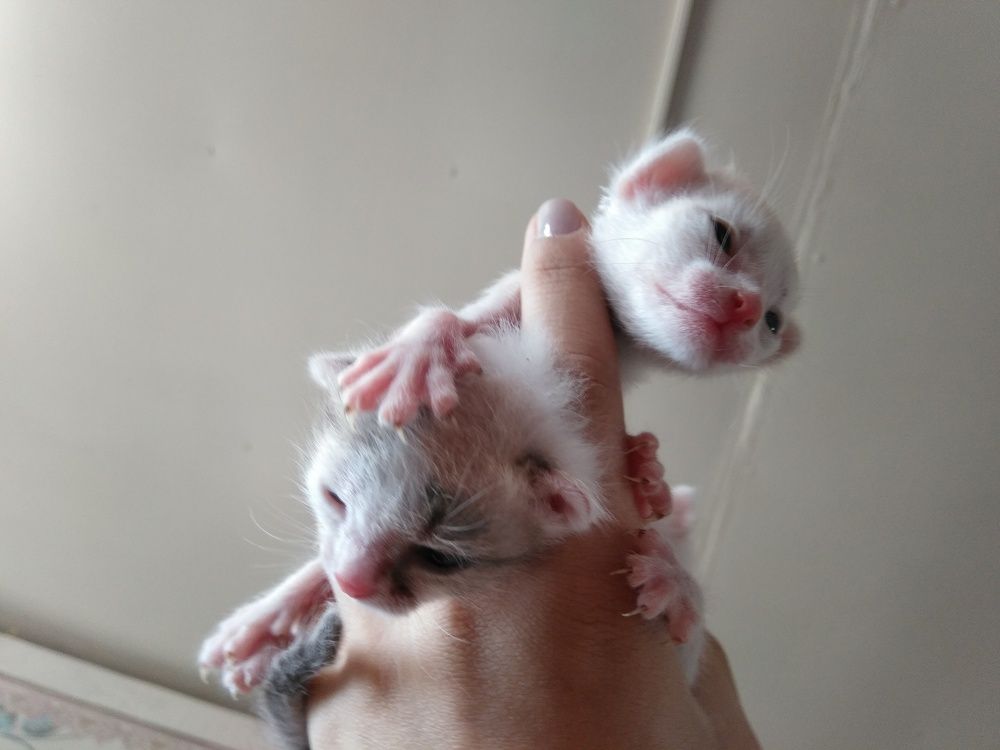 Photograph by Татьяна Александрова