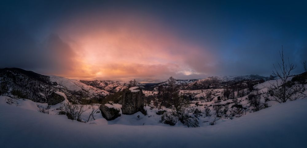 Photograph by Damian Varela