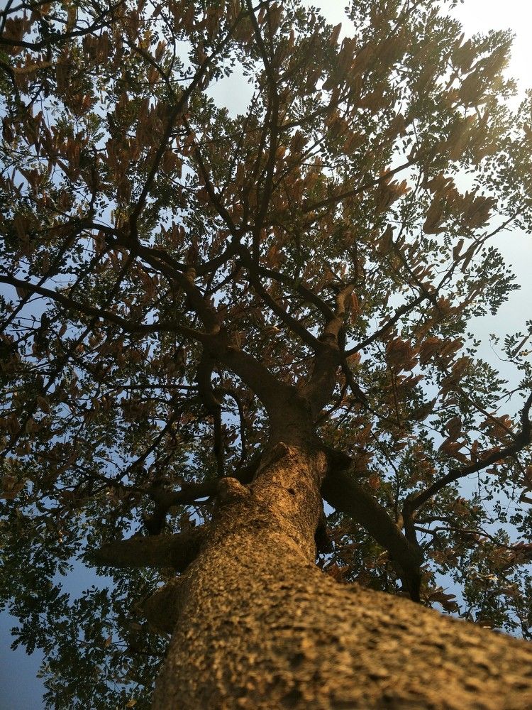 Photograph by Zarar